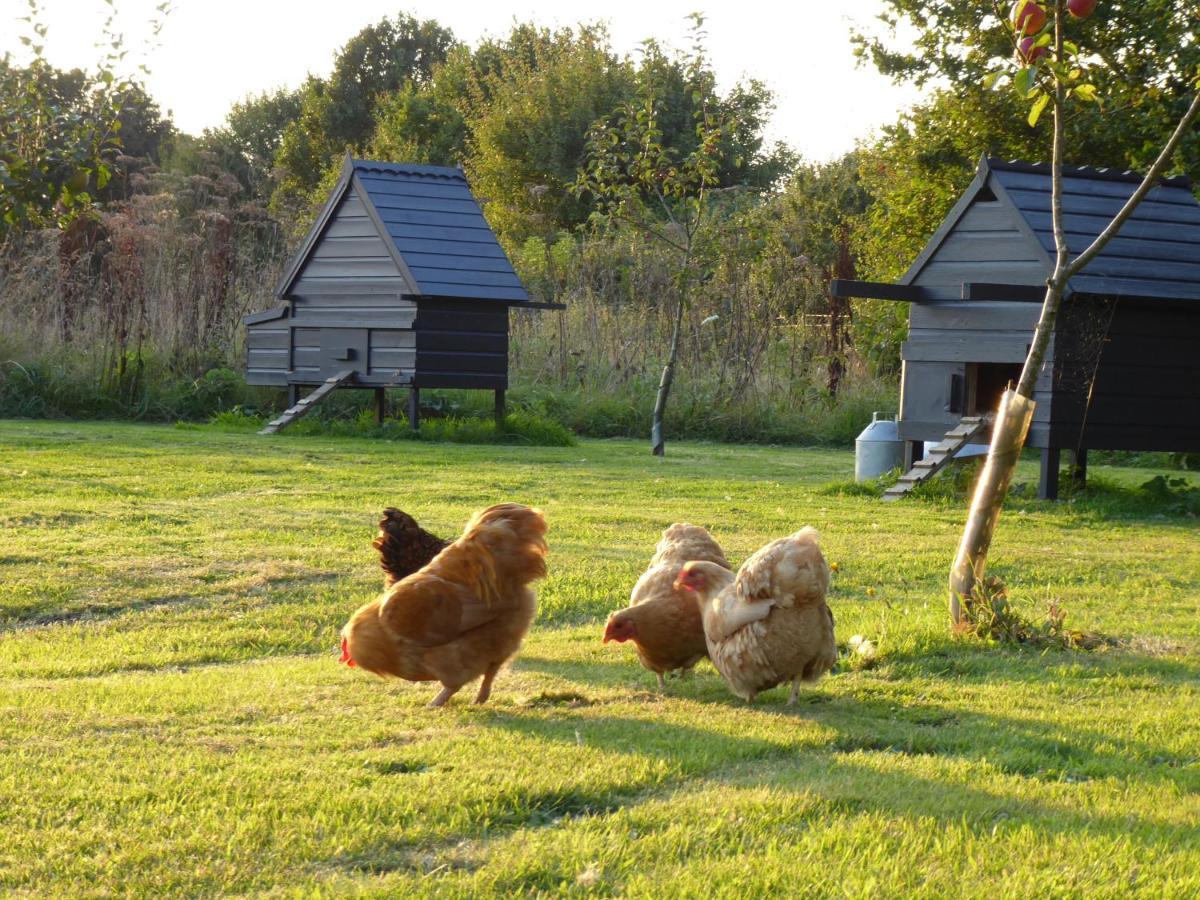 The Oaks Glamping - Magpie Half Shepherds Hut Otel Colkirk Dış mekan fotoğraf